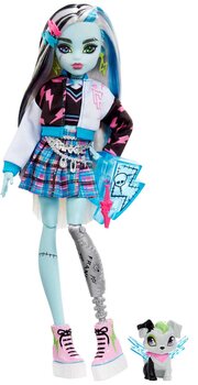 Monster High Frankie Stein Watzie HHK53 фото