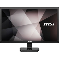 Msi Pro MP221