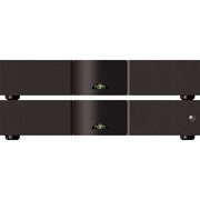 Naim Audio NAP 300 фото