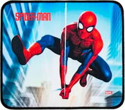 ND Play Marvel: Spider-Man фото