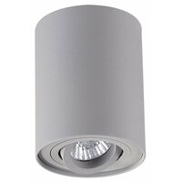 Odeon light Pillaron 3831/1C