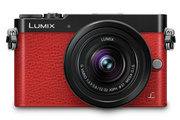 Panasonic DMC-GM5 kit 12-32 фото