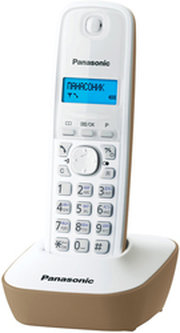 Panasonic KX-TG1611RUJ фото