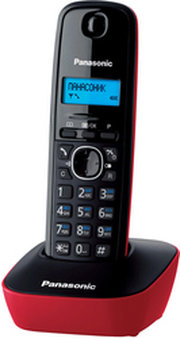 Panasonic KX-TG1611RUR фото