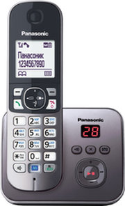 Panasonic KX-TG6821RUM фото