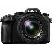 Panasonic Lumix DMC-FZ2500 фото