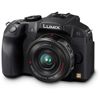 Panasonic Lumix DMC-G6X