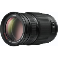 Panasonic Lumix G Vario 100-300mm f/4.0-5.6 Mega O.I.S H-FS100300