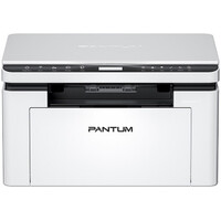 Pantum BM2300W