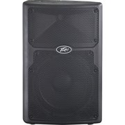 Peavey PVXp 10 фото