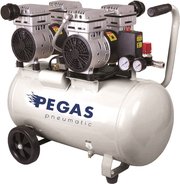 Pegas PG-1100-2 фото