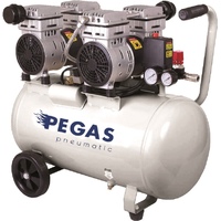 Pegas PG-1100-2