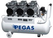 Pegas PG-2400 фото