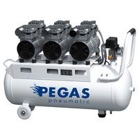 Pegas PG-2400