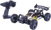 Pilotage Buggy Stem 10 EP 4WD 1:10 фото