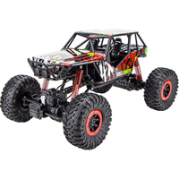 Pilotage Crawler Cross-Country 1:10