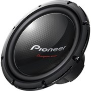 Pioneer TS-W310 фото