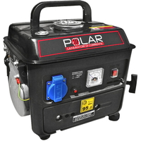 Polar LT950DC