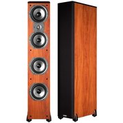 Polk Audio TSi500 фото