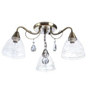 Arte Lamp A1658PL-3AB фото