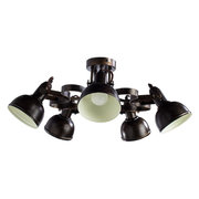 Arte Lamp A5216PL-5BR фото