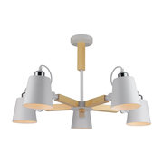 Arte Lamp A7141PL-5WH фото