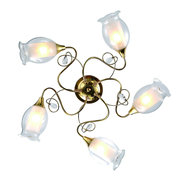 Arte Lamp A9289PL-5GO фото