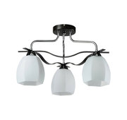 IDLamp 867/3PF-Dark фото