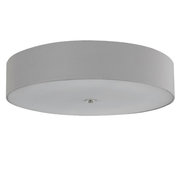 Crystal Lux Jewel PL500 Gray фото