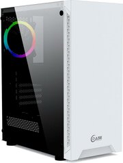 PowerCase CMAXW-F2L1 фото