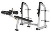 Precor DBR411 фото