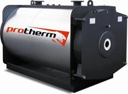 Protherm Бизон NO 100 фото