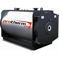 Protherm Бизон NO 100