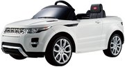 Rastar Land Rover Evoque фото