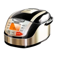 Redmond MasterFry FM4502