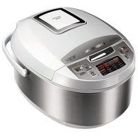 Redmond MasterFry FM4520