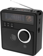 Ritmix RPR-210 фото