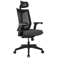 Rivacase Chair T27H