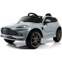 Rivertoys Aston Martin P888PP