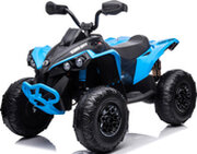 RiverToys BRP Can-Am Renegade фото