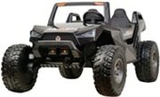 RiverToys Buggy A707AA 4WD фото