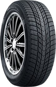 Roadstone Winguard Ice Plus фото