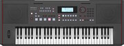 Roland E-X50 фото