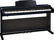 Roland RP-401R фото