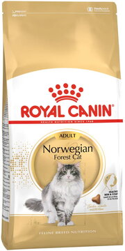 Royal Canin Norwegian Forest Adult фото