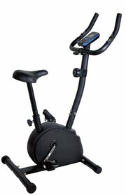 Royal Fitness RF-12 магнитный RFIB-12 фото