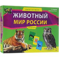 Рыжий кот ИН-0071