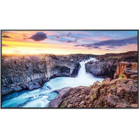 Samsung Digital Signage QH55B