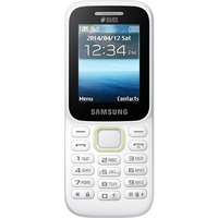 Samsung Guru Music 2