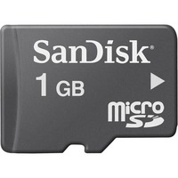 Sandisk microSD 1GB